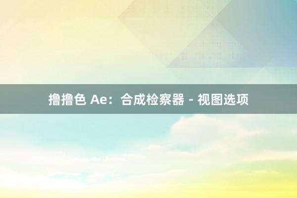 撸撸色 Ae：合成检察器 - 视图选项