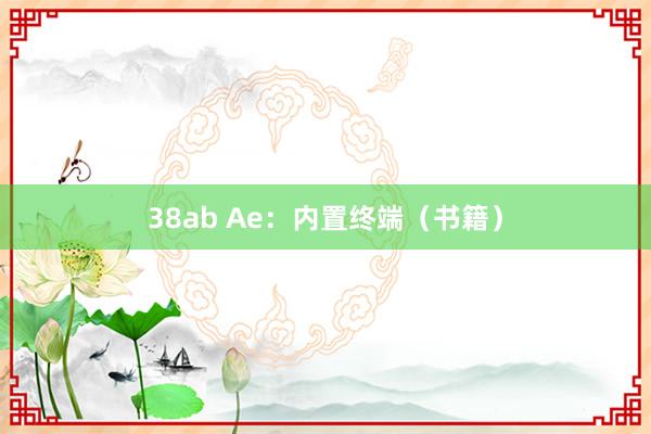 38ab Ae：内置终端（书籍）