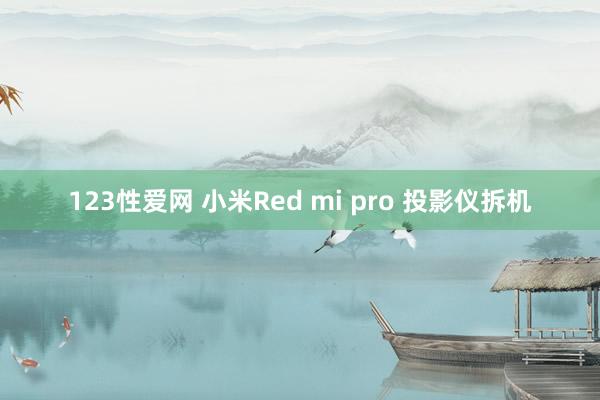 123性爱网 小米Red mi pro 投影仪拆机