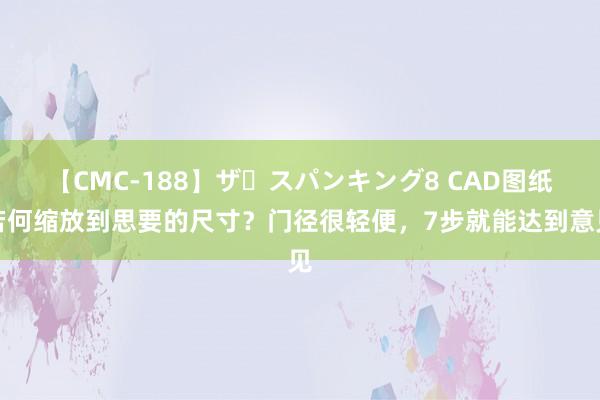 【CMC-188】ザ・スパンキング8 CAD图纸若何缩放到思要的尺寸？门径很轻便，7步就能达到意见