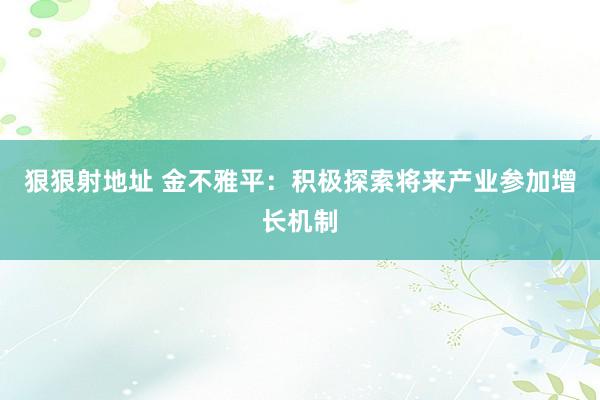 狠狠射地址 金不雅平：积极探索将来产业参加增长机制