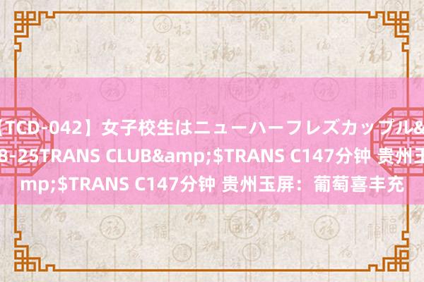 【TCD-042】女子校生はニューハーフレズカップル</a>2010-08-25TRANS CLUB&$TRANS C147分钟 贵州玉屏：葡萄喜丰充