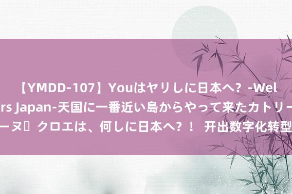 【YMDD-107】Youはヤリしに日本へ？‐Welcome to sex lovers Japan‐天国に一番近い島からやって来たカトリーヌ・クロエは、何しに日本へ？！ 开出数字化转型“良方”，因“仓”制宜发展新质出产力