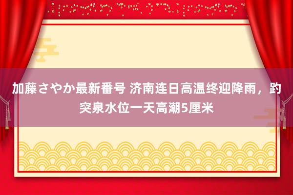 加藤さやか最新番号 济南连日高温终迎降雨，趵突泉水位一天高潮5厘米