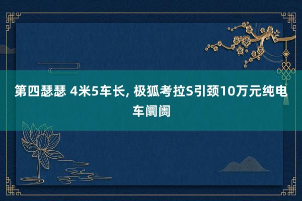 第四瑟瑟 4米5车长, 极狐考拉S引颈10万元纯电车阛阓