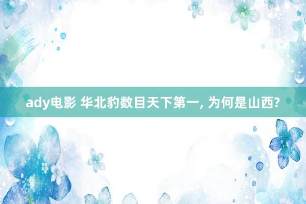 ady电影 华北豹数目天下第一, 为何是山西?