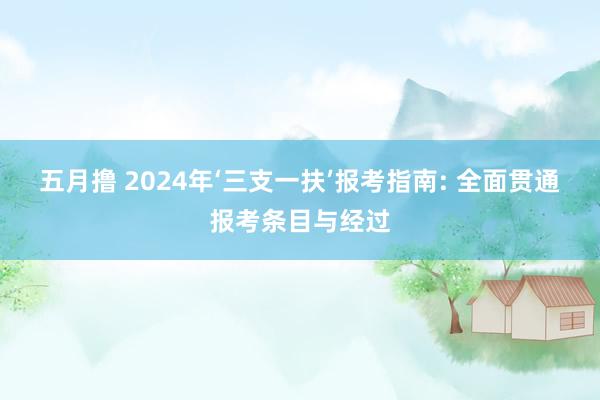 五月撸 2024年‘三支一扶’报考指南: 全面贯通报考条目与经过