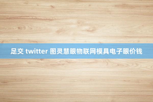 足交 twitter 图灵慧眼物联网模具电子眼价钱