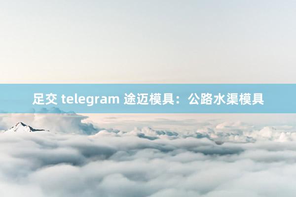 足交 telegram 途迈模具：公路水渠模具