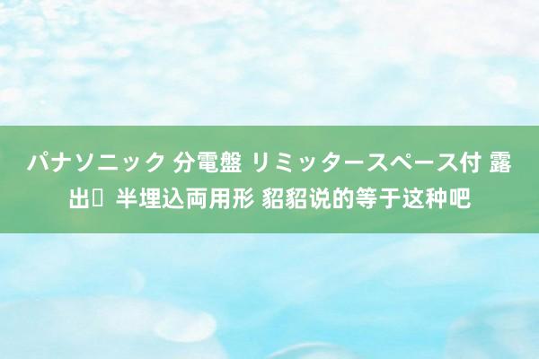 パナソニック 分電盤 リミッタースペース付 露出・半埋込両用形 貂貂说的等于这种吧