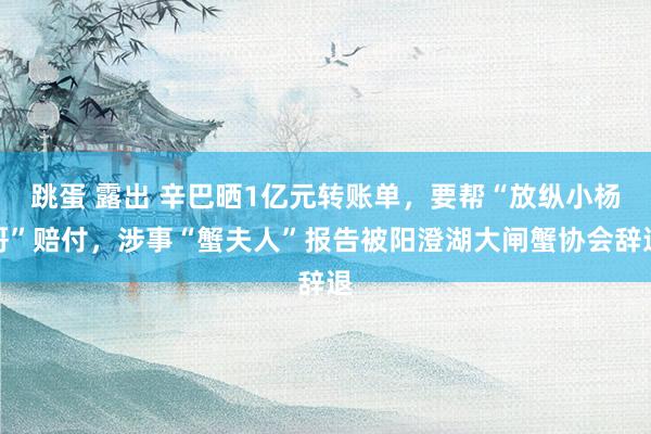 跳蛋 露出 辛巴晒1亿元转账单，要帮“放纵小杨哥”赔付，涉事“蟹夫人”报告被阳澄湖大闸蟹协会辞退