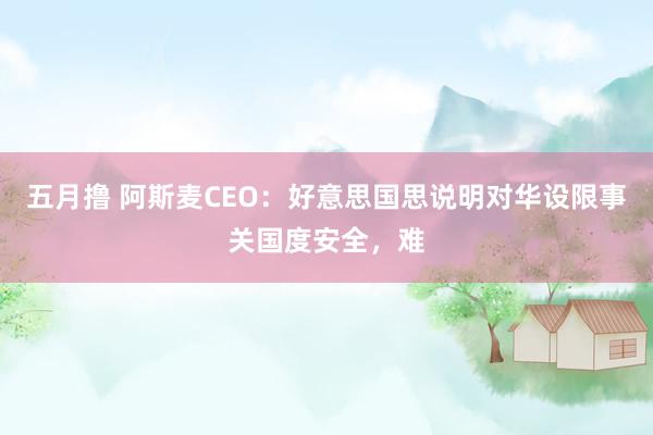 五月撸 阿斯麦CEO：好意思国思说明对华设限事关国度安全，难