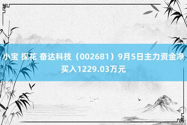 小宝 探花 奋达科技（002681）9月5日主力资金净买入1229.03万元