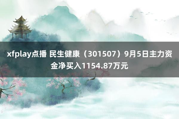 xfplay点播 民生健康（301507）9月5日主力资金净买入1154.87万元