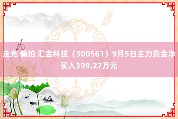 走光 偷拍 汇金科技（300561）9月5日主力资金净买入399.27万元