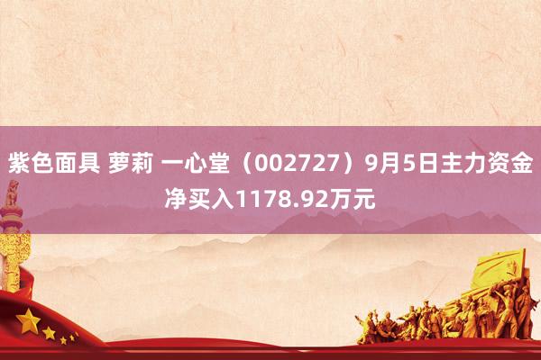 紫色面具 萝莉 一心堂（002727）9月5日主力资金净买入1178.92万元