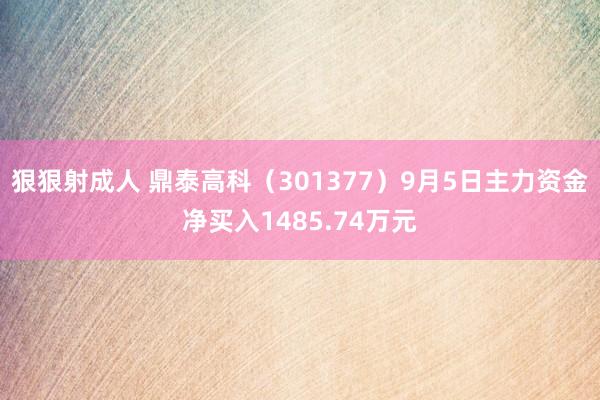 狠狠射成人 鼎泰高科（301377）9月5日主力资金净买入1485.74万元