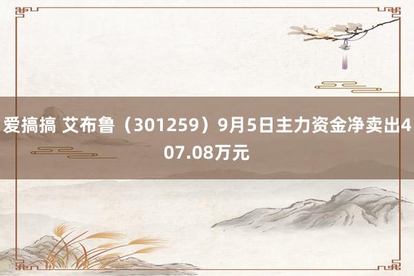 爱搞搞 艾布鲁（301259）9月5日主力资金净卖出407.08万元