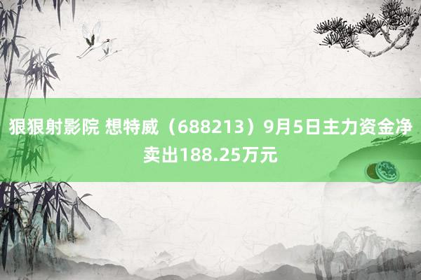 狠狠射影院 想特威（688213）9月5日主力资金净卖出188.25万元