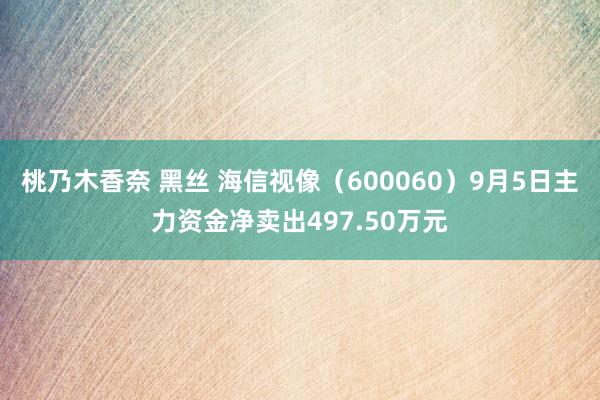 桃乃木香奈 黑丝 海信视像（600060）9月5日主力资金净卖出497.50万元