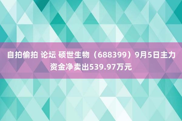 自拍偷拍 论坛 硕世生物（688399）9月5日主力资金净卖出539.97万元