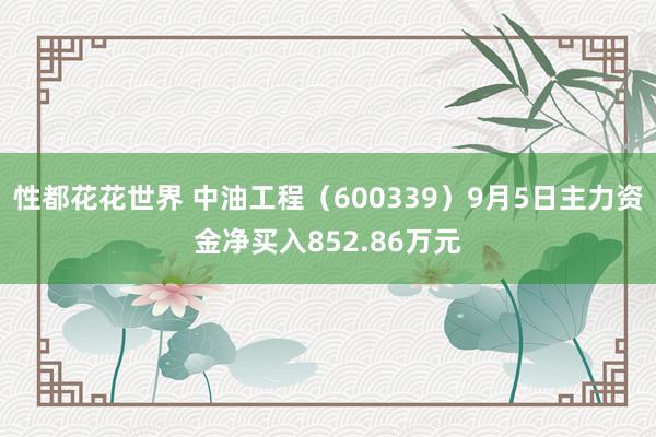 性都花花世界 中油工程（600339）9月5日主力资金净买入852.86万元