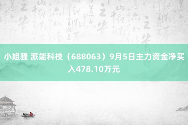 小姐骚 派能科技（688063）9月5日主力资金净买入478.10万元