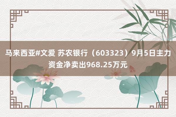 马来西亚#文爱 苏农银行（603323）9月5日主力资金净卖出968.25万元