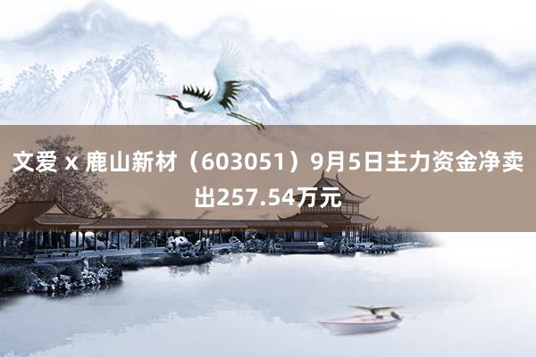 文爱 x 鹿山新材（603051）9月5日主力资金净卖出257.54万元