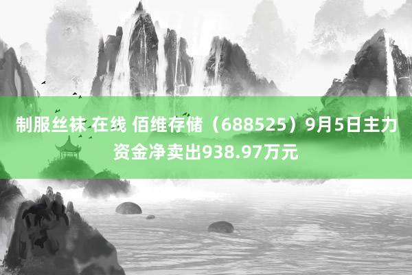 制服丝袜 在线 佰维存储（688525）9月5日主力资金净卖出938.97万元