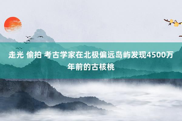 走光 偷拍 考古学家在北极偏远岛屿发现4500万年前的古核桃