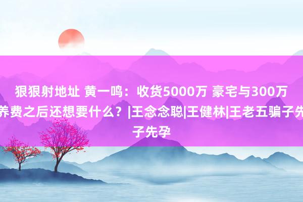 狠狠射地址 黄一鸣：收货5000万 豪宅与300万供养费之后还想要什么？|王念念聪|王健林|王老五骗子先孕