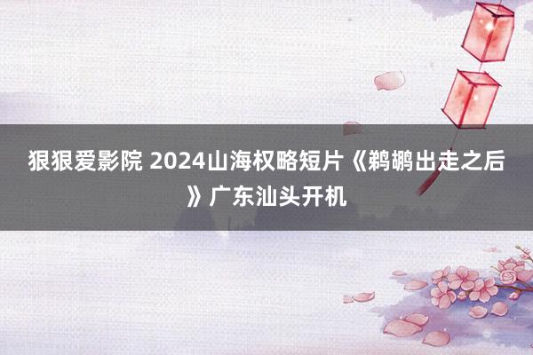 狠狠爱影院 2024山海权略短片《鹈鹕出走之后》广东汕头开机