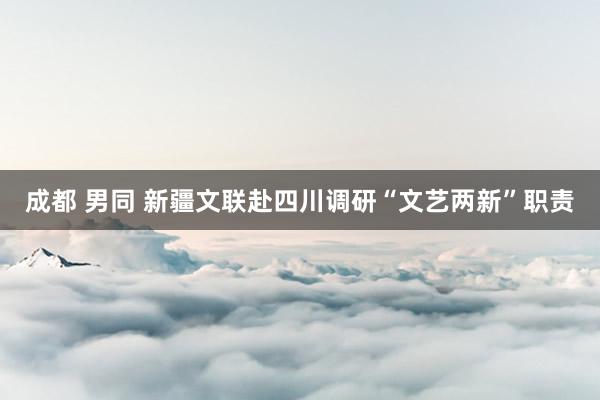 成都 男同 新疆文联赴四川调研“文艺两新”职责