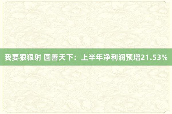 我要狠狠射 圆善天下：上半年净利润预增21.53%