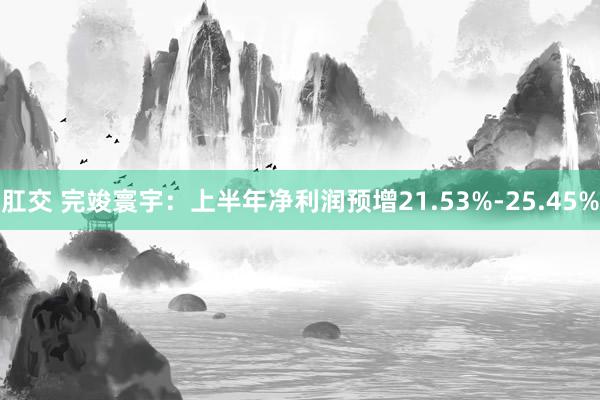 肛交 完竣寰宇：上半年净利润预增21.53%-25.45%