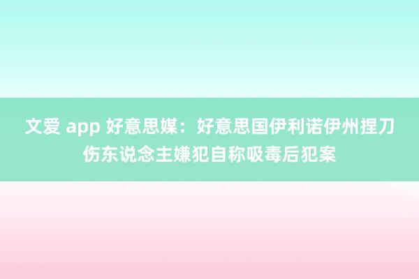 文爱 app 好意思媒：好意思国伊利诺伊州捏刀伤东说念主嫌犯自称吸毒后犯案