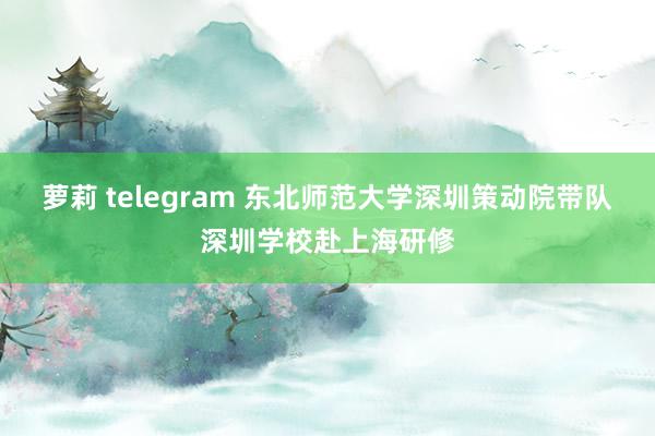 萝莉 telegram 东北师范大学深圳策动院带队深圳学校赴上海研修